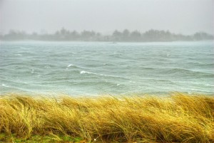 windy.water.steve.power